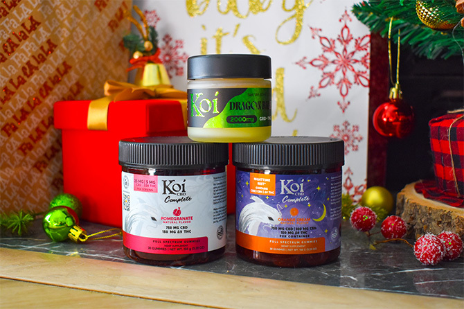 about-05 H Bundle Cat