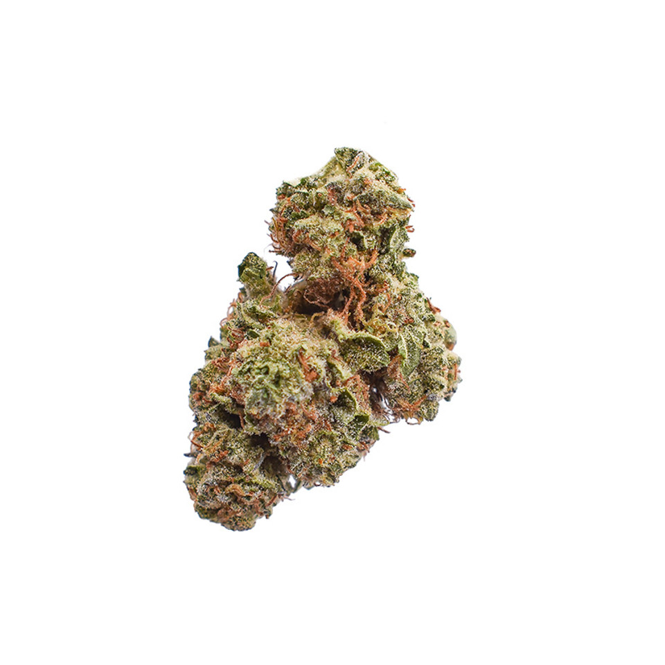 auto draft auto draft