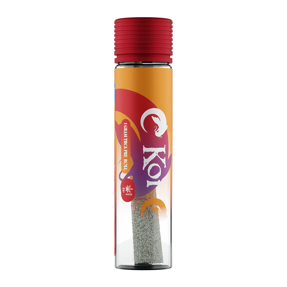 auto draft auto draft